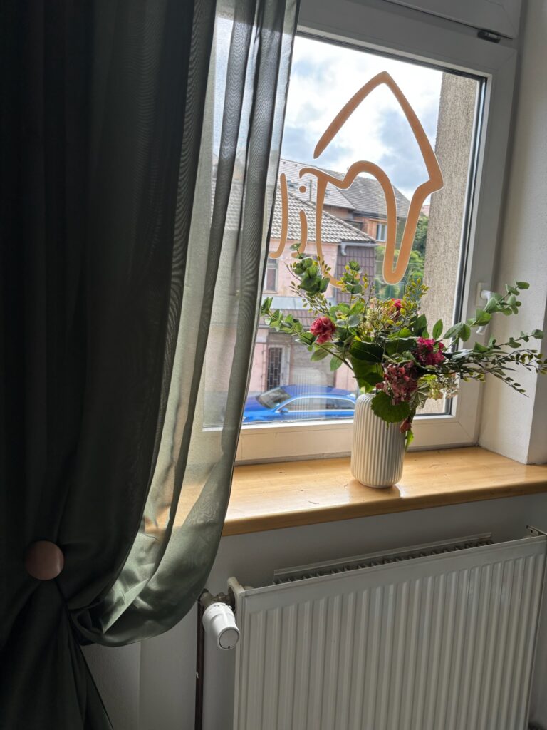 IMG 6539 | Angličtina Začátečníci